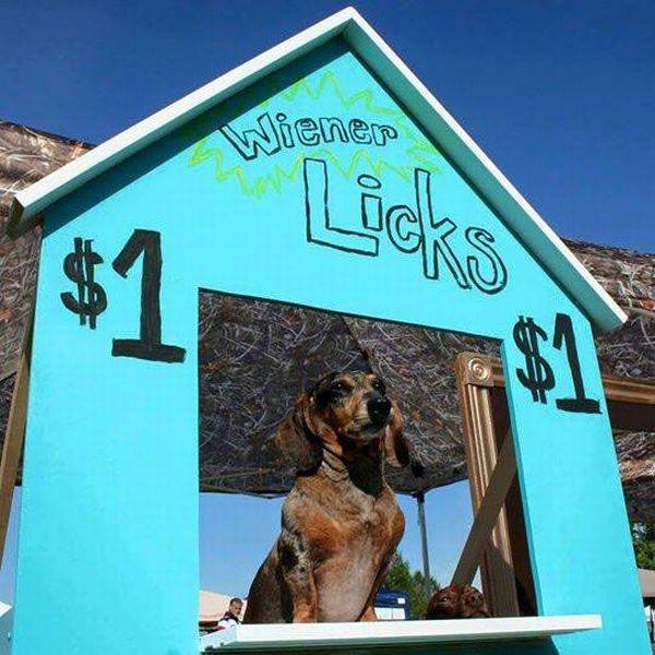 Acid Picdump (98 pics)