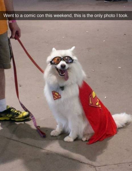 Acid Picdump (98 pics)