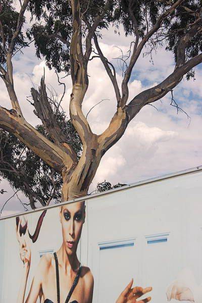 Acid Picdump (98 pics)