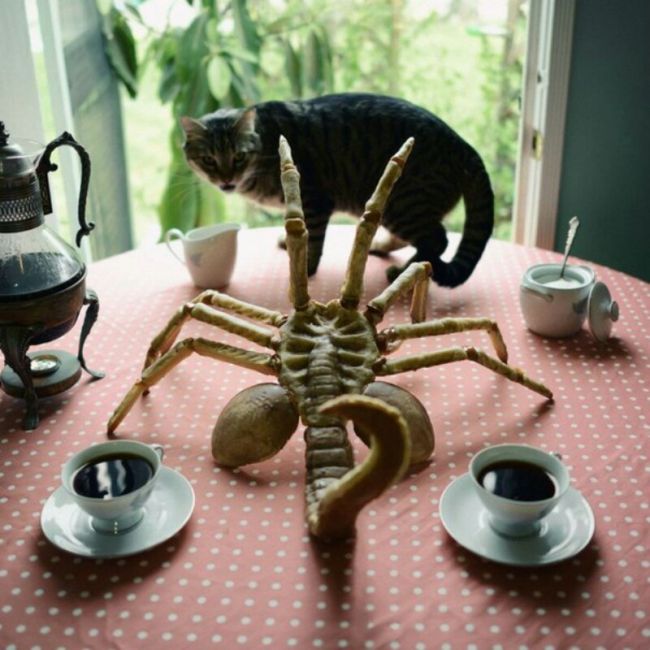 Acid Picdump (98 pics)