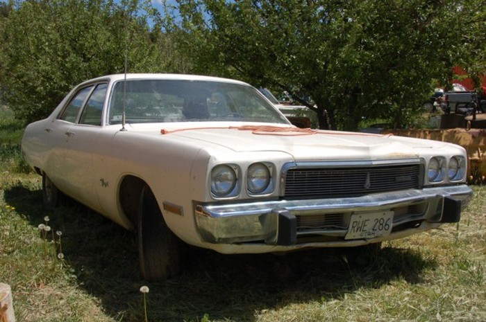 More Than 250 Cars Make Up This Vehicle Cemetery In Utah (29 pics)