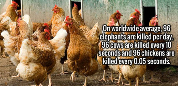 Interesting Facts About Places, People And More (35 pics)