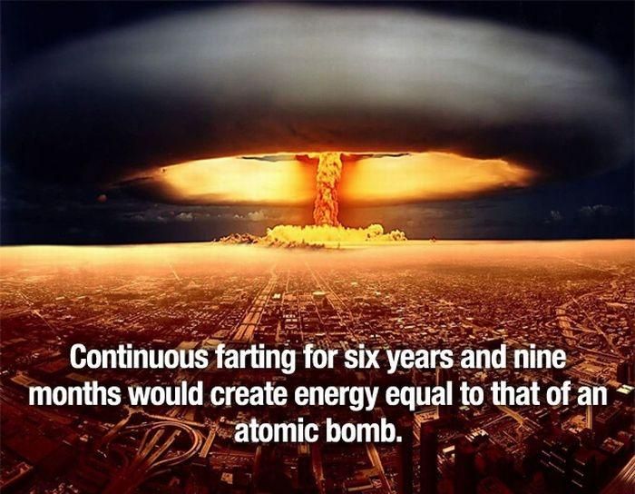 Your Mind Will Be Blown After Learning These Fascinating Facts (20 pics)