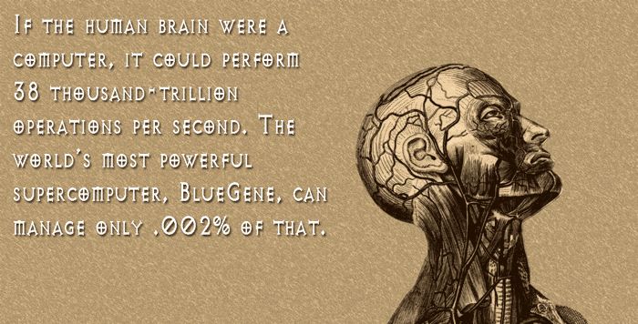 Your Mind Will Be Blown After Learning These Fascinating Facts (20 pics)