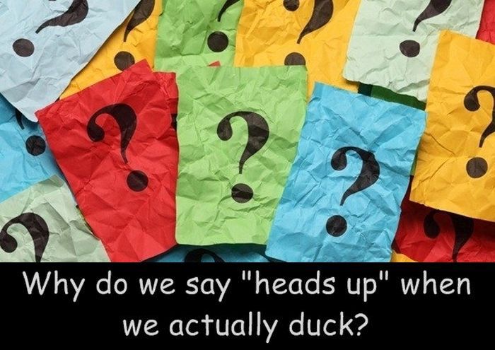 26 Questions We All Need Answered (26 pics)