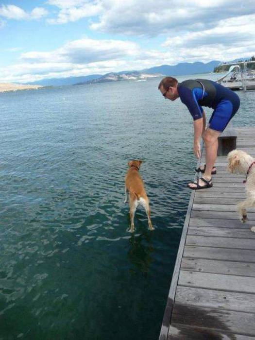 Perfectly Timed Photos (44 pics)