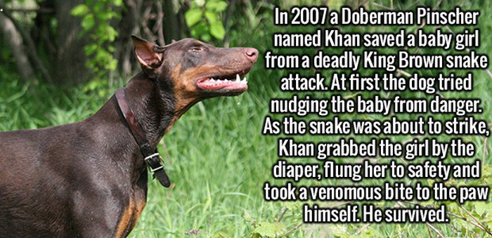 These Fun And Interesting Facts Will Give Your Brain Some Exercise (20 pics)