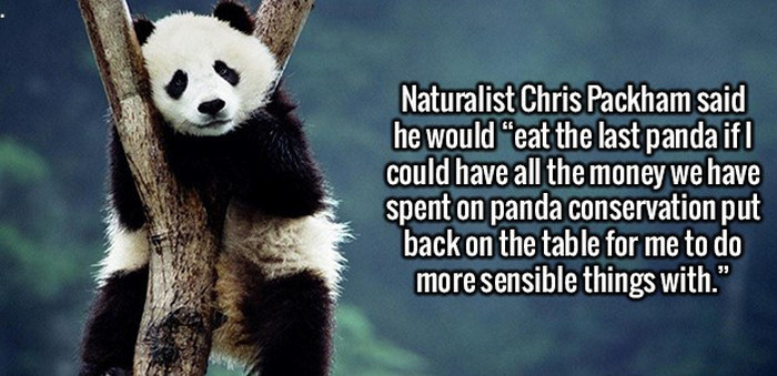 These Fun And Interesting Facts Will Give Your Brain Some Exercise (20 pics)