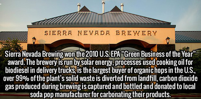 These Fun And Interesting Facts Will Give Your Brain Some Exercise (20 pics)
