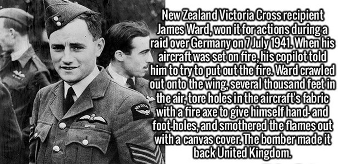 These Fun And Interesting Facts Will Give Your Brain Some Exercise (20 pics)