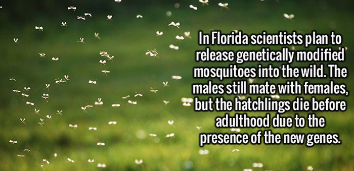 These Fun And Interesting Facts Will Give Your Brain Some Exercise (20 pics)