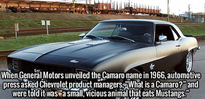 These Fun And Interesting Facts Will Give Your Brain Some Exercise (20 pics)