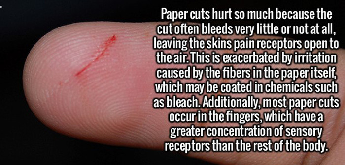 These Fun And Interesting Facts Will Give Your Brain Some Exercise (20 pics)