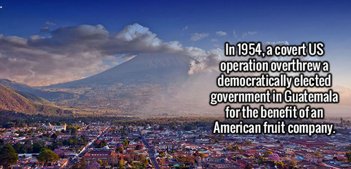 These Fun And Interesting Facts Will Give Your Brain Some Exercise (20 pics)