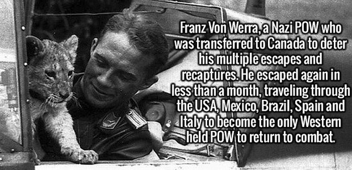 These Fun And Interesting Facts Will Give Your Brain Some Exercise (20 pics)