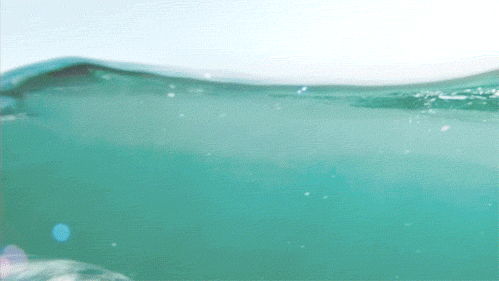 Terrifyingly Shark GIFs (16 gifs)