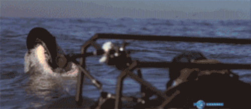 Terrifyingly Shark GIFs (16 gifs)