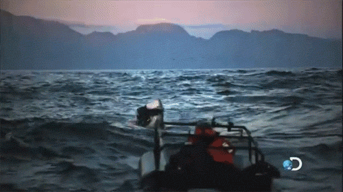 Terrifyingly Shark GIFs (16 gifs)