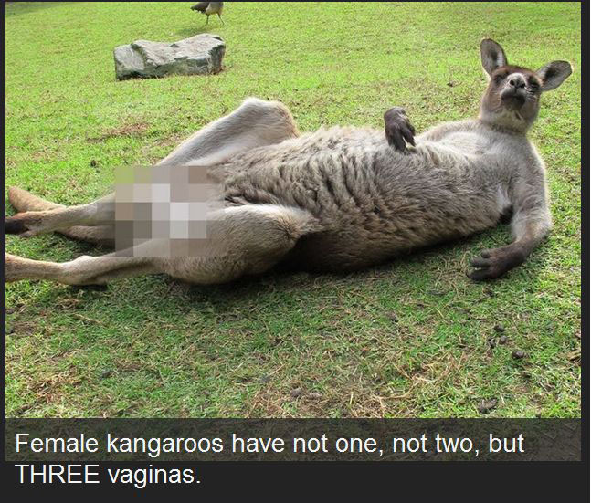 10 Disturbing Facts You'll Never Forget (10 pics)