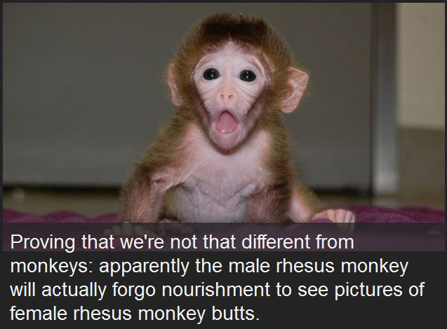 10 Disturbing Facts You'll Never Forget (10 pics)