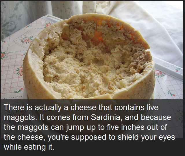 10 Disturbing Facts You'll Never Forget (10 pics)