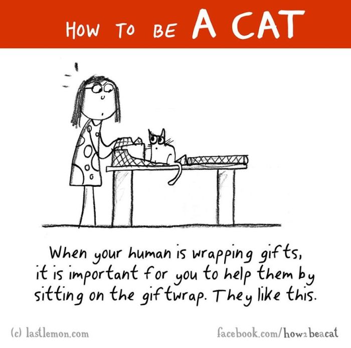 Everything You Need To Know About How To Be A Cat (25 pics)