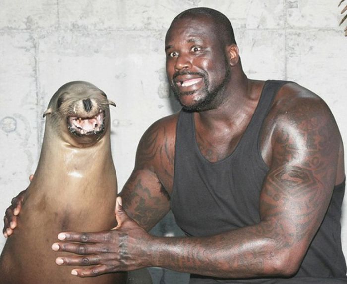 Pictures That Show Just How Gigantic Shaquille O’Neal Really Is (34 pics)