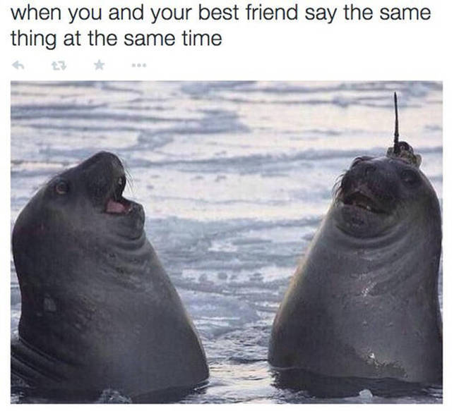 24 Different Types Of Friends Everyone Has In Their Squad (24 pics)