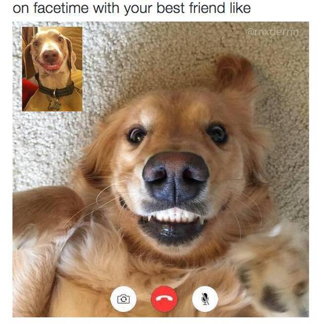 24 Different Types Of Friends Everyone Has In Their Squad (24 pics)