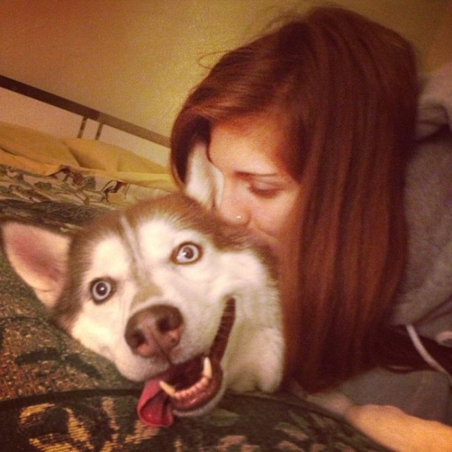 Dogs Are The Greatest Source Of Unconditional Love (27 pics)