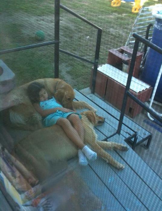 Dogs Are The Greatest Source Of Unconditional Love (27 pics)