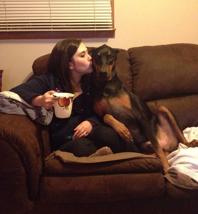 Dogs Are The Greatest Source Of Unconditional Love (27 pics)