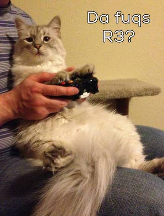 Gamers Just Want To Have Fun (59 pics)