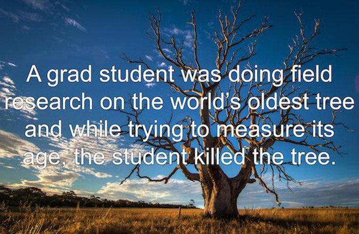 Baffling Fails That Have Happened Throughout History (19 pics)