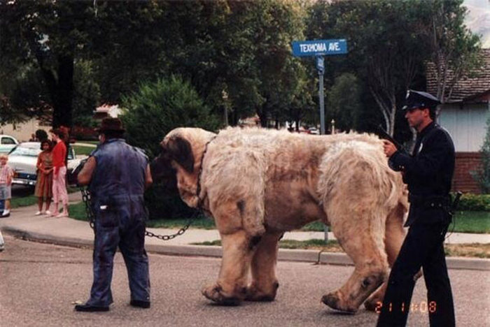 See How Famous Movies Were Made In These Candid Behind The Scenes Pictures (30 pics) See How Famous Movies Were Made In These Candid Behind The Scenes Pictures (30 pics)