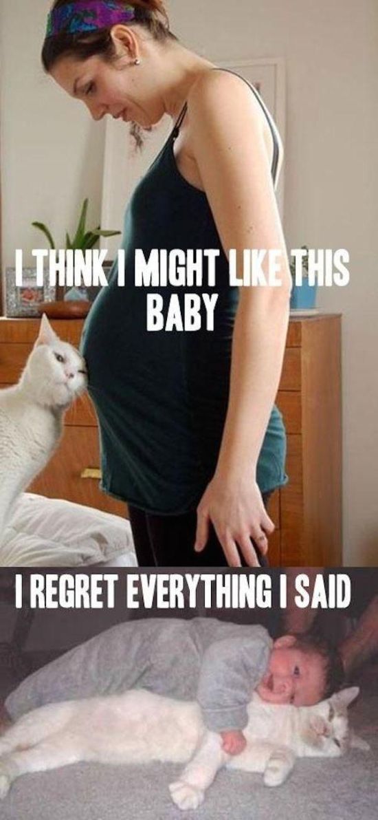Memes That Are Guaranteed To Make Your Day (40 pics)
