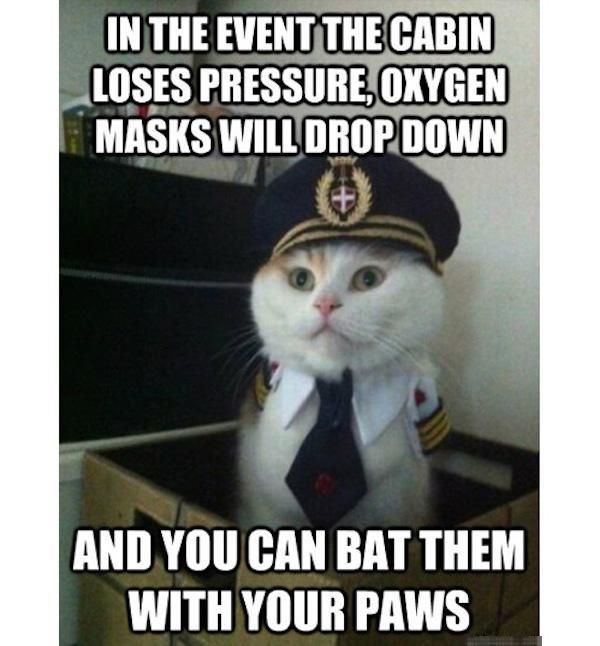 Memes That Are Guaranteed To Make Your Day (40 pics)