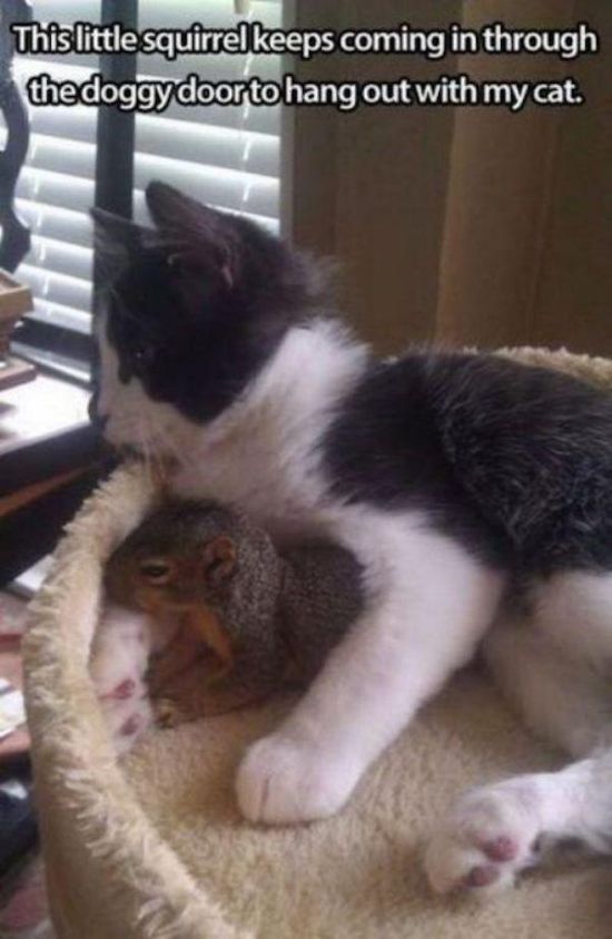Memes That Are Guaranteed To Make Your Day (40 pics)