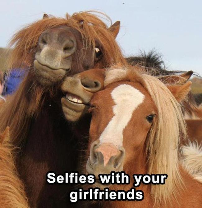 Memes That Are Guaranteed To Make Your Day (40 pics)