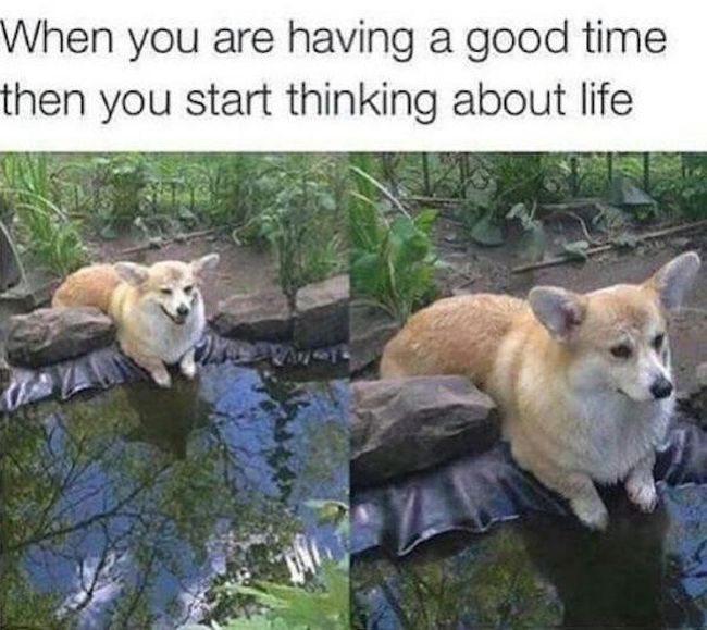 Memes That Are Guaranteed To Make Your Day (40 pics)
