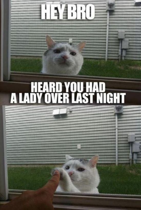 Memes That Are Guaranteed To Make Your Day (40 pics)