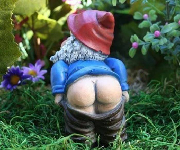 Fun Facts Everyone Needs To Know About Butts (12 pics)