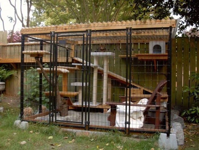 They Found The Perfect Way To Let Their Indoor Cats Play Outside (8 pics)