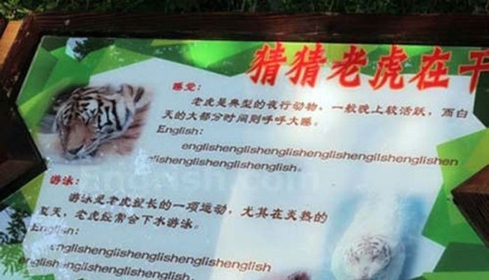 The Laziest Foreign Language Translations You'll Ever See (24 pics)