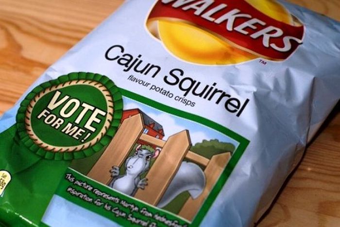 Potato Chip Flavors That Shouldn't Be Allowed To Exist (21 pics)