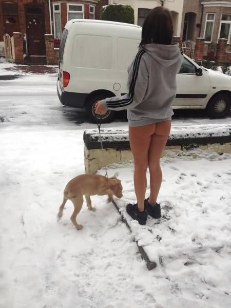 Fun Pics for Adults. Part 85 (55 pics)