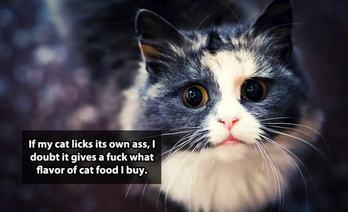 Shower Thoughts That Are Just Too Brilliant To Ignore (16 pics)