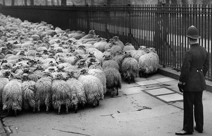 These Rarely Seen Historical Images Are Like Opening A Time Capsule (17 pics)