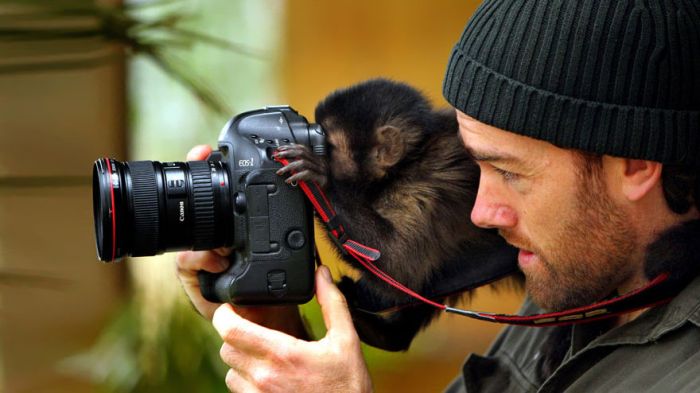 Animals That Wish They Could Be Photographers (20 pics)