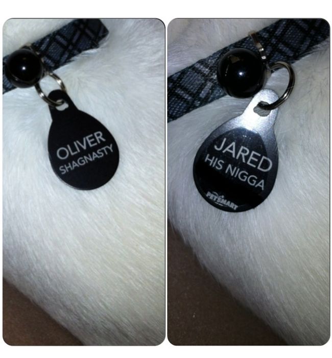 Custom Collar Tags Created By Pet Owners With A Good Sense Of Humor (14 pics)